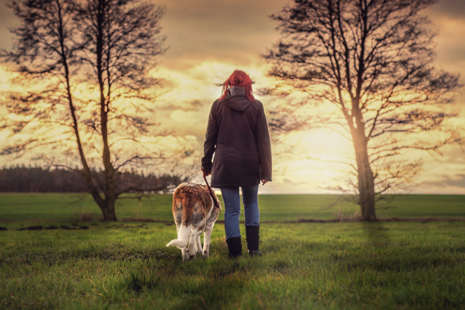 Vertrauen zwischen Mensch und Hund